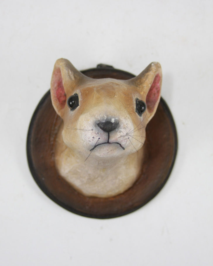 Little cody foster room squirrel plaque