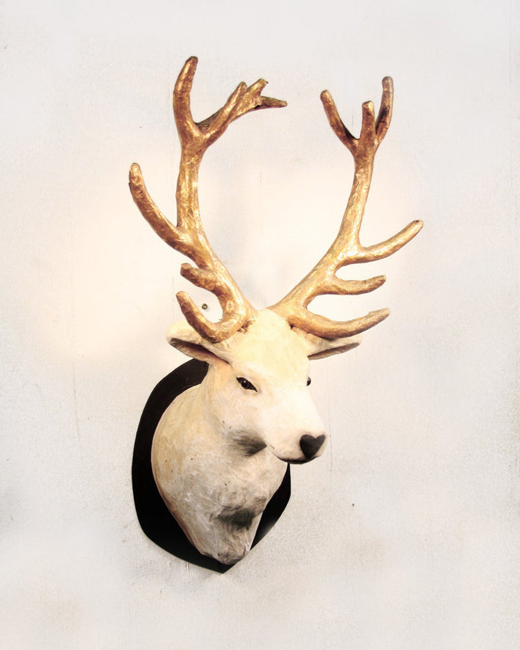 Little cody foster room winter deer mount with gold horns