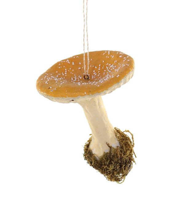 Little cody foster room yellow cap mushroom ormanet