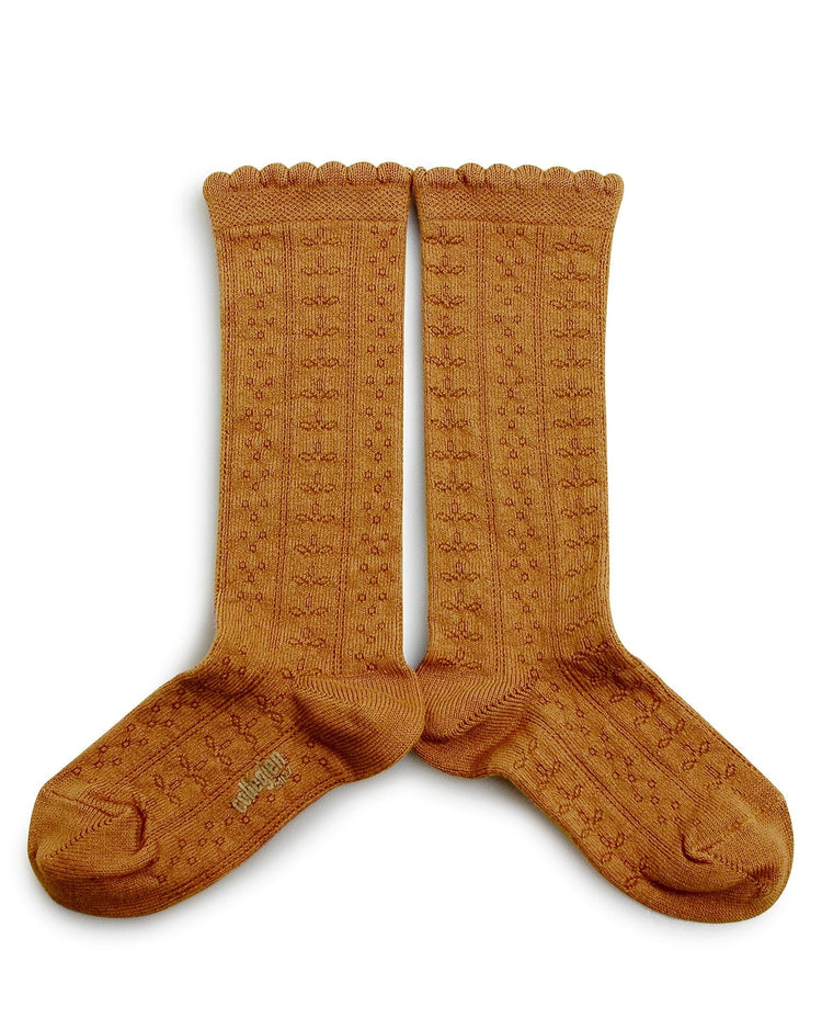 Little collegien accessories organic pointelle knee high socks in moutarde de dijon