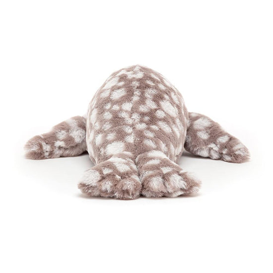 little linus leopard seal