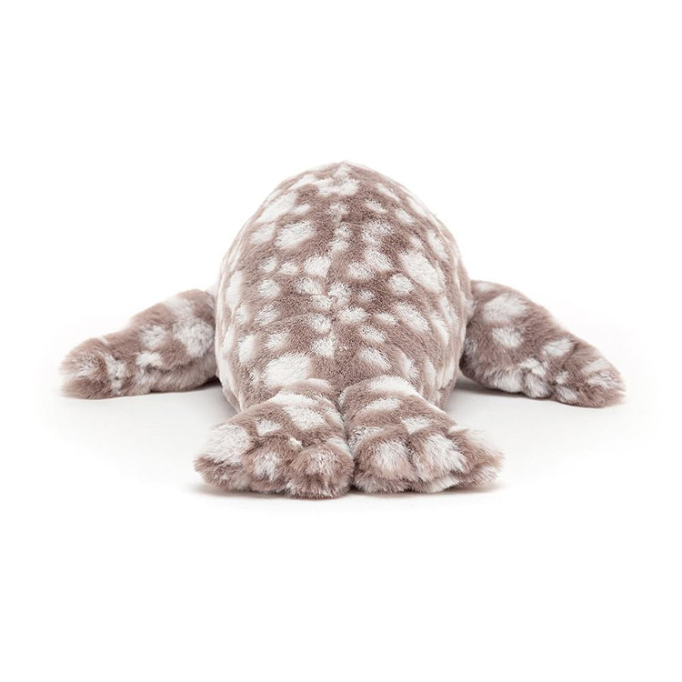 little linus leopard seal