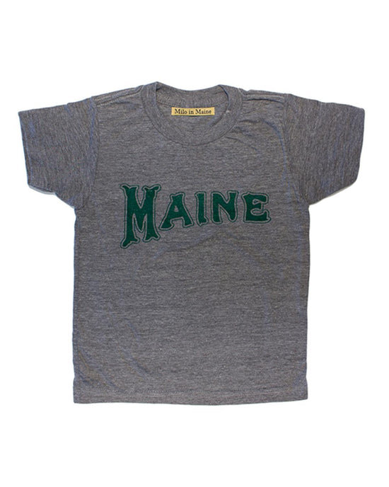 Little milo in maine baby boy 3-6 maine baby tee in grey + green