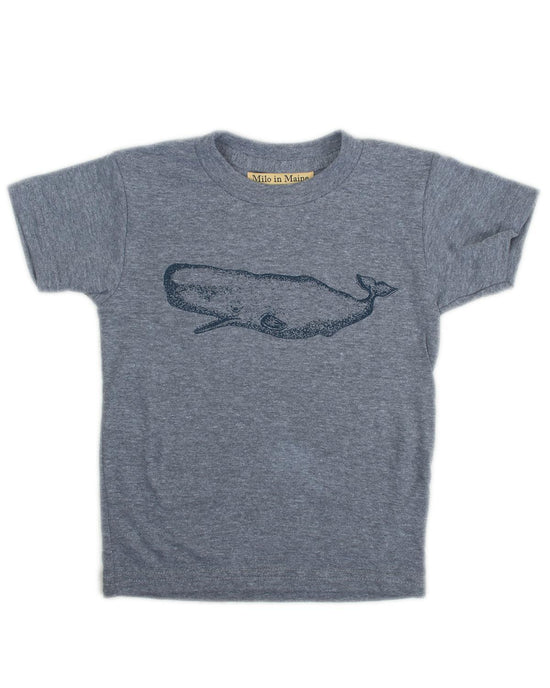 Little milo in maine baby boy 3-6 whale baby tee in grey + navy
