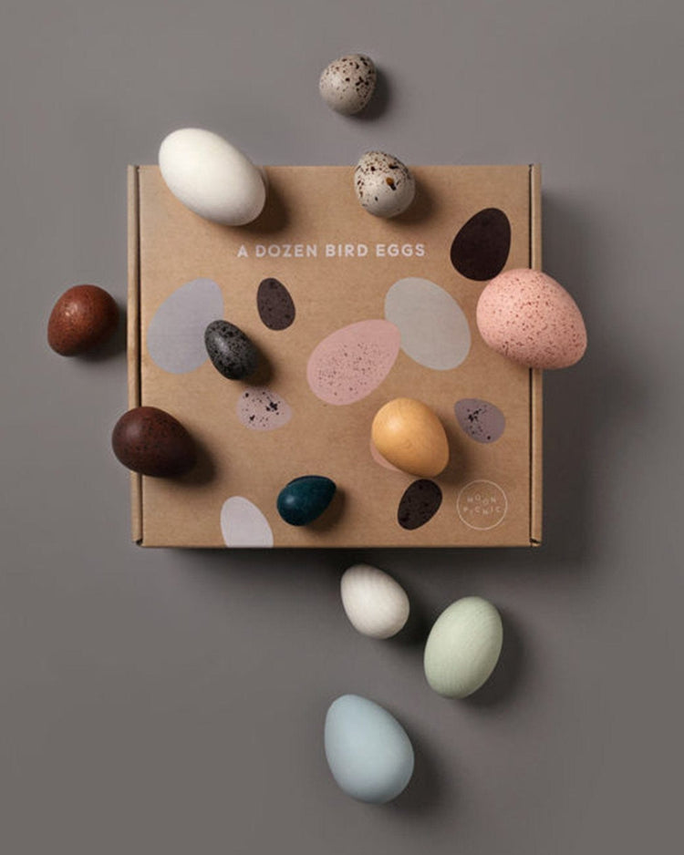 Little moon picnic play a dozen bird eggs in a box