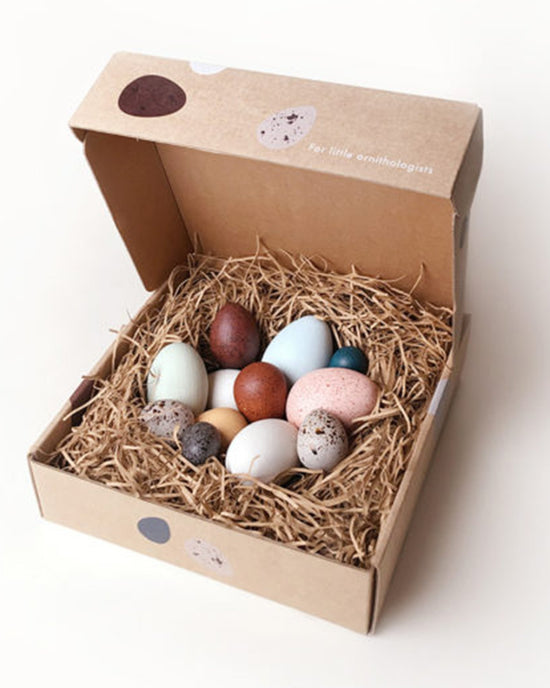 Little moon picnic play a dozen bird eggs in a box