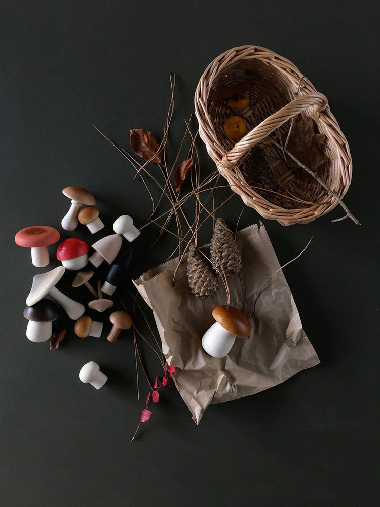 Little moon picnic play light forest mushroom basket