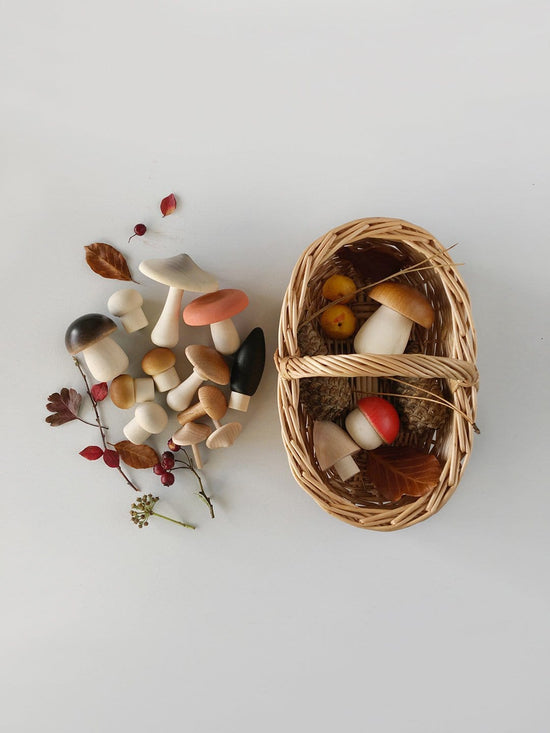 Little moon picnic play light forest mushroom basket