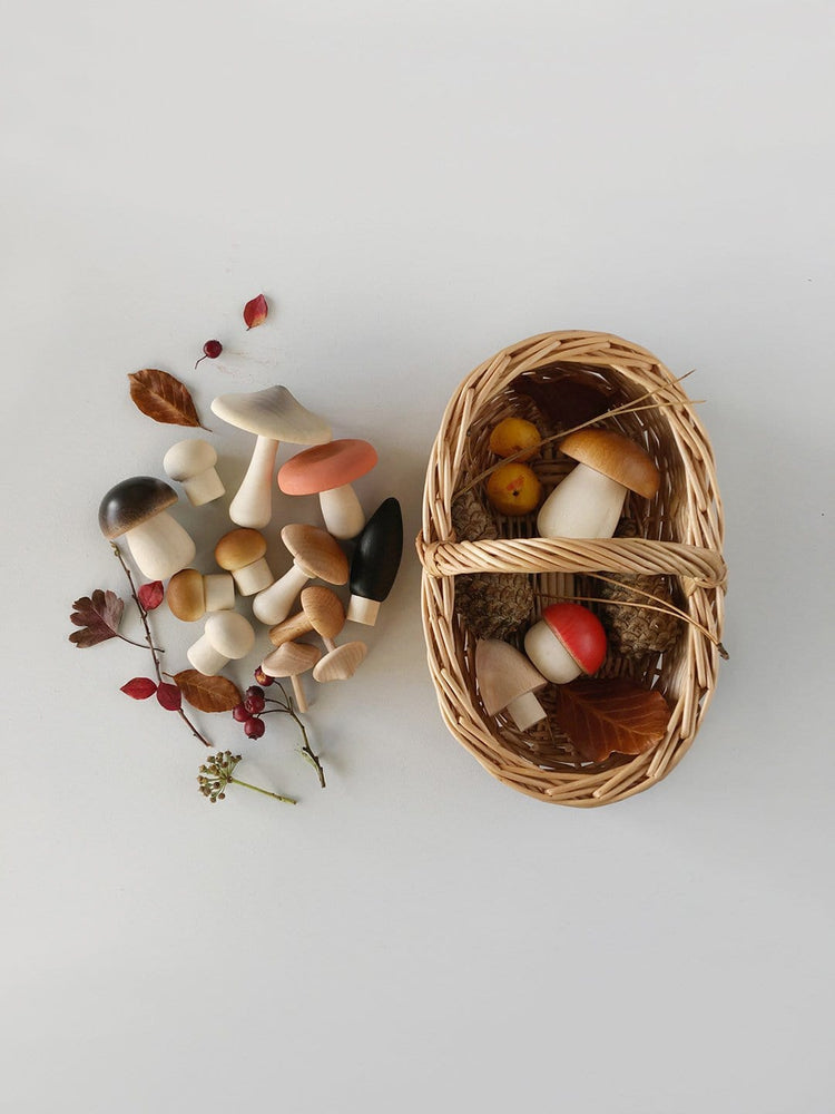 Little moon picnic play light forest mushroom basket