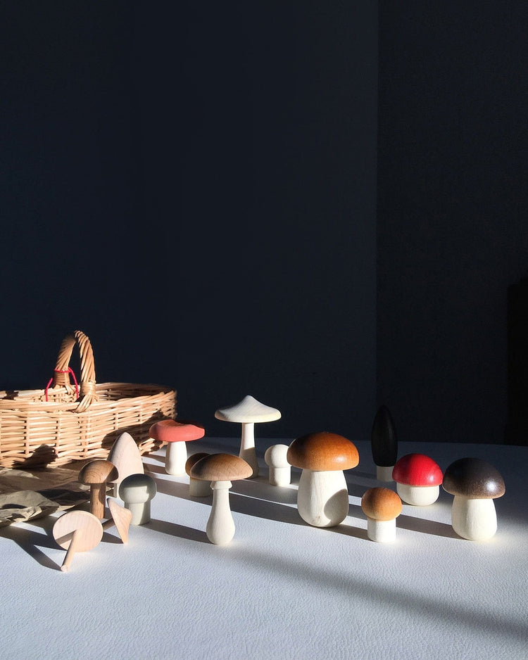 Little moon picnic play light forest mushroom basket