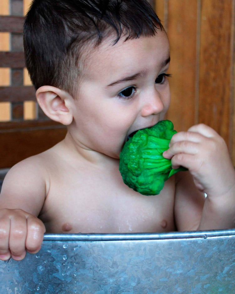 Little oli + carol baby accessories brucy the broccoli