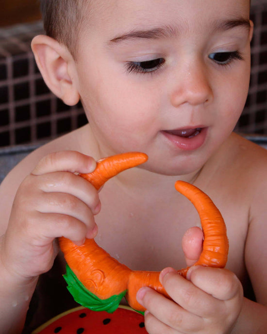 Little oli + carol baby accessories cathy the carrot