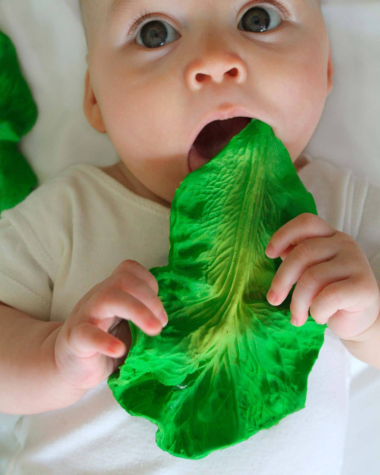 Little oli + carol baby accessories kendall the kale