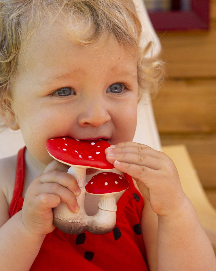 Little oli + carol baby accessories spot the mushroom