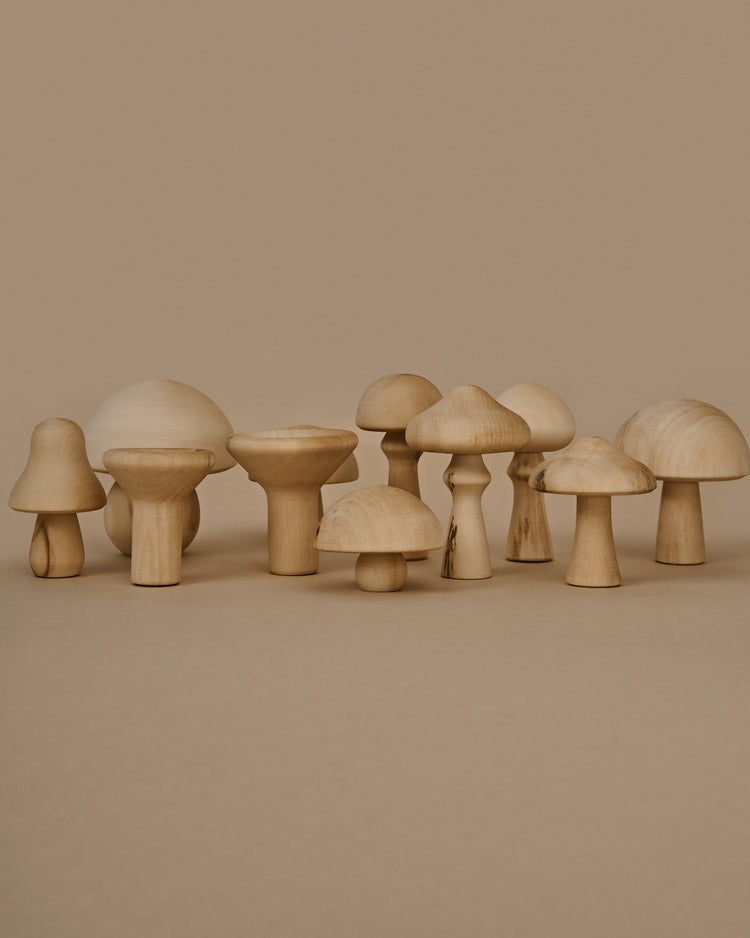 Little raduga grez play natural mushrooms