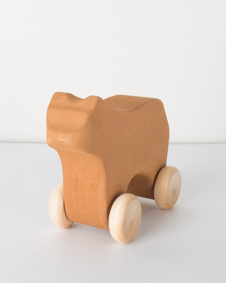 Little raduga grez play rolling bear