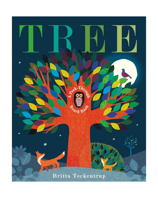 Little random house play tree: a peek-though board book