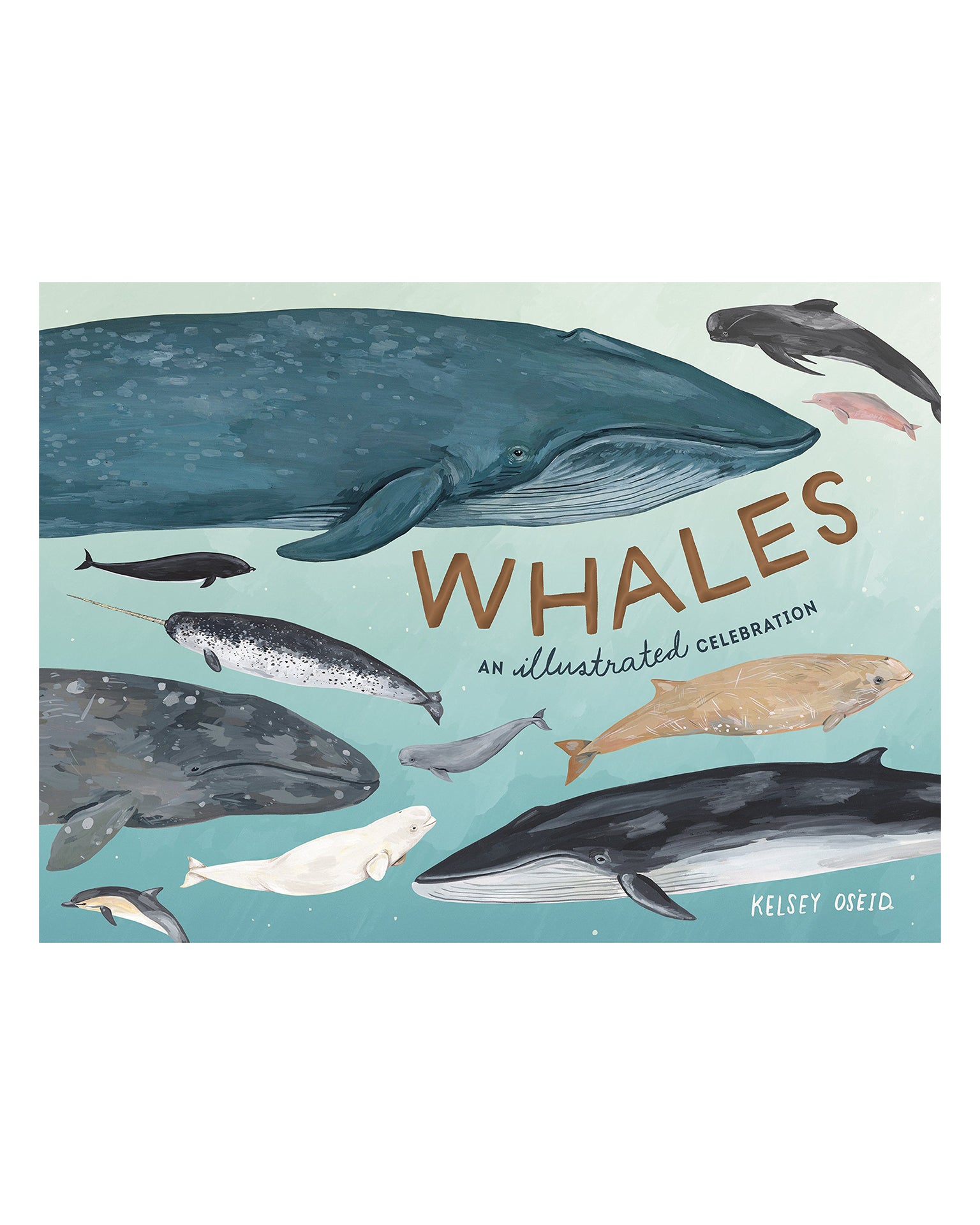 Little random house play whales: an illustrated celebration
