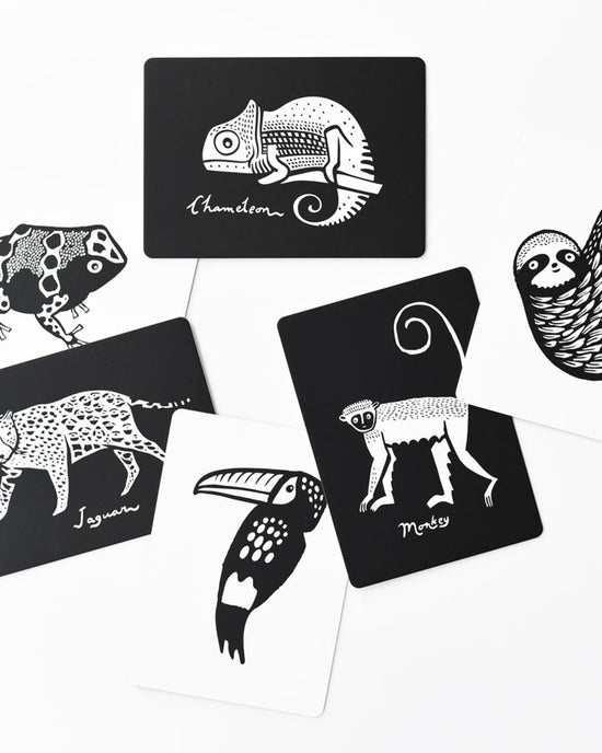Illustrated animal rainforest art cards featuring a chameleon, leopard, sloth, toucan, and monkey in black-and-white designs on a white surface by wee gallery.