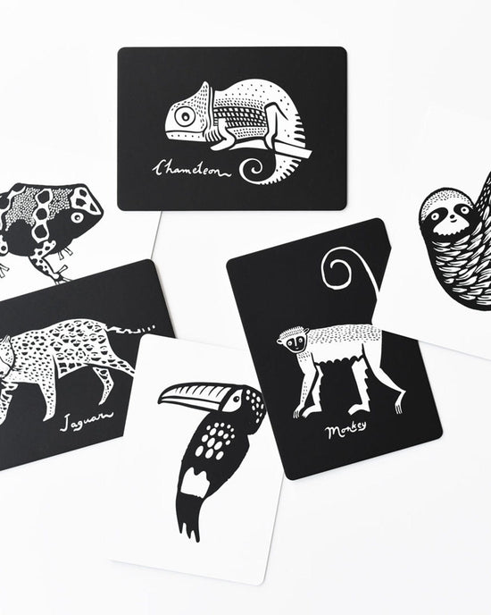 rainforest art cards